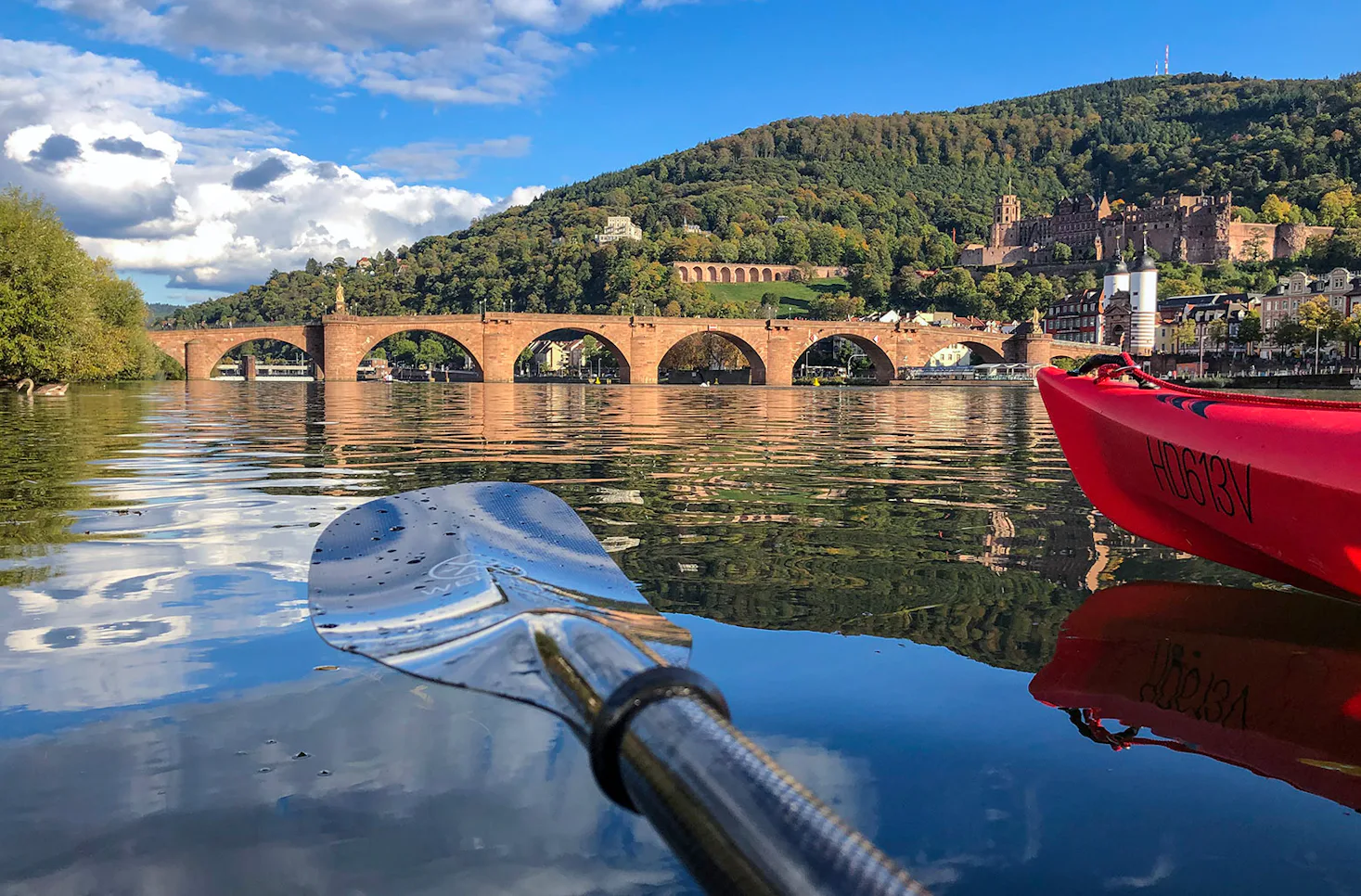 Paddle Tour Heidelberg (2 Std.) - 1