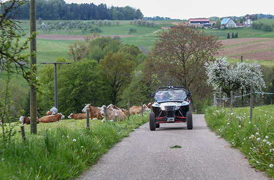 Quad Side by Side Einsteigertour im Schwarzwald - 5