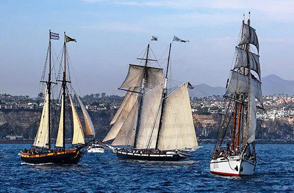 Regatta Segeln Rostock zur Hanse Sail - 5