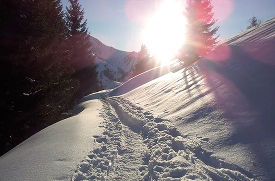 Skitour in Tirol - 5