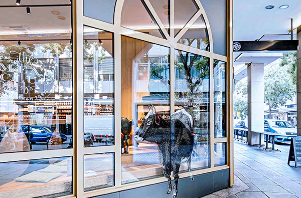 Steak Tasting in Stuttgart - 5