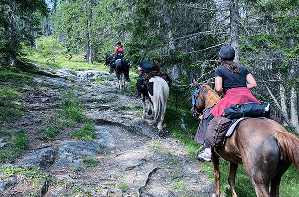 Wanderreiten Aschbach (1 Nacht) - 5