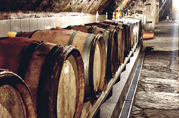 Weinbergwanderung in Bad Neuenahr-Ahrweiler - 5