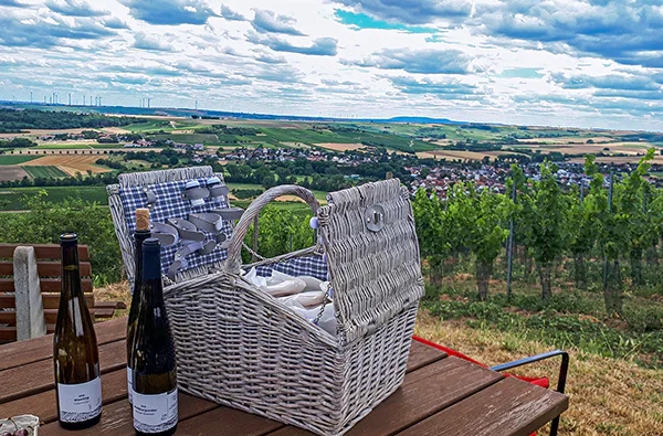 Weinbergwanderung Essenheim - 1