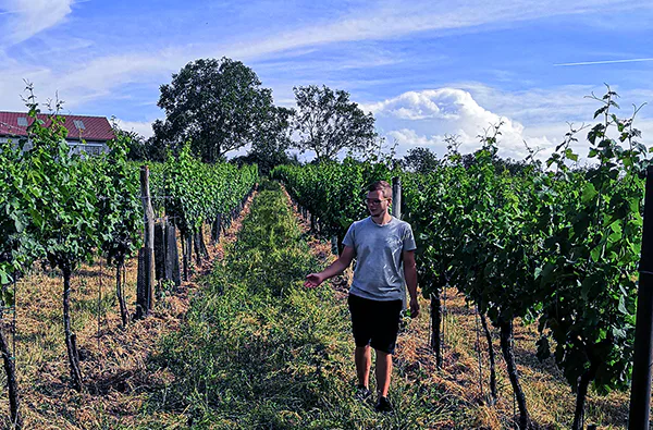 Weinbergwanderung Hohenruppersdorf