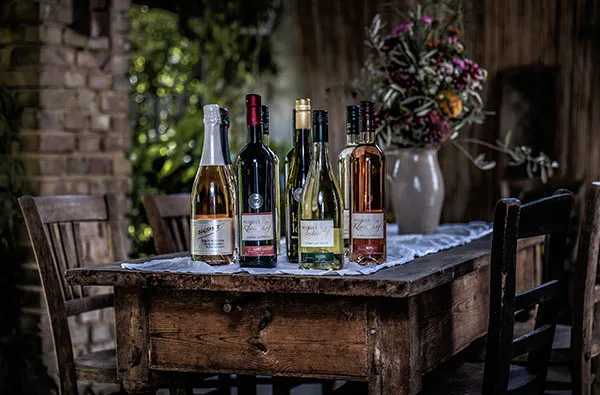 Weinbergwanderung & Weinprobe Raum Heidelberg für 2 - 7