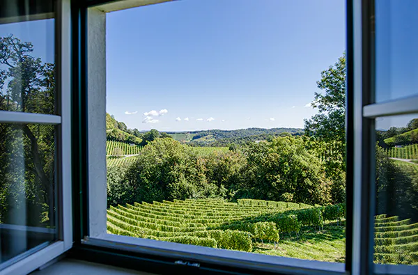 Weingut-Kurzurlaub in der Steiermark für 2 - 5