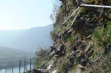 Weinbergwanderung mit Klettersteig an der Mosel - 6