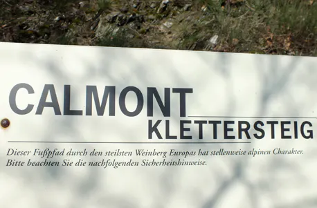 Weinbergwanderung mit Klettersteig an der Mosel - 7