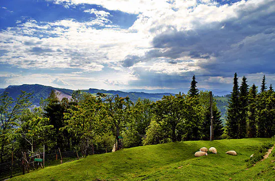 Wellnesstage im Bio-Hotel in Kärnten - 7