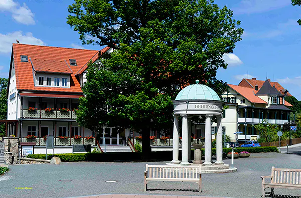 Wellnessurlaub Bad Suderode für 2 (1 Nacht) - 8