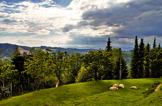 Wellness-Kurzurlaub im Bio-Hotel in Kärnten für 2 - 6
