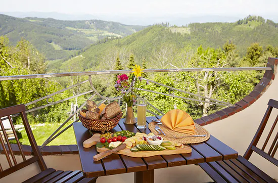 Wellness-Kurzurlaub im Bio-Hotel in Kärnten für 2 - 7