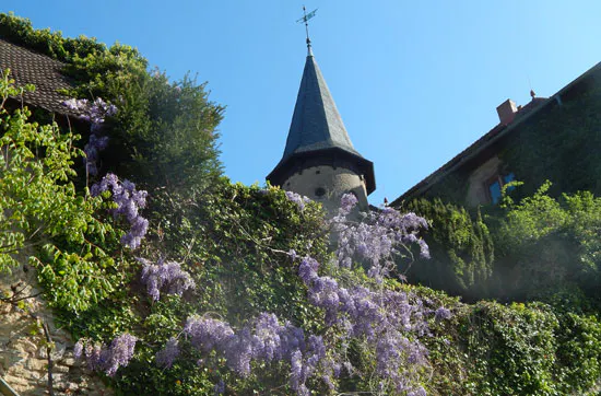 Whisky Seminar in Schlüchtern-Elm - 6