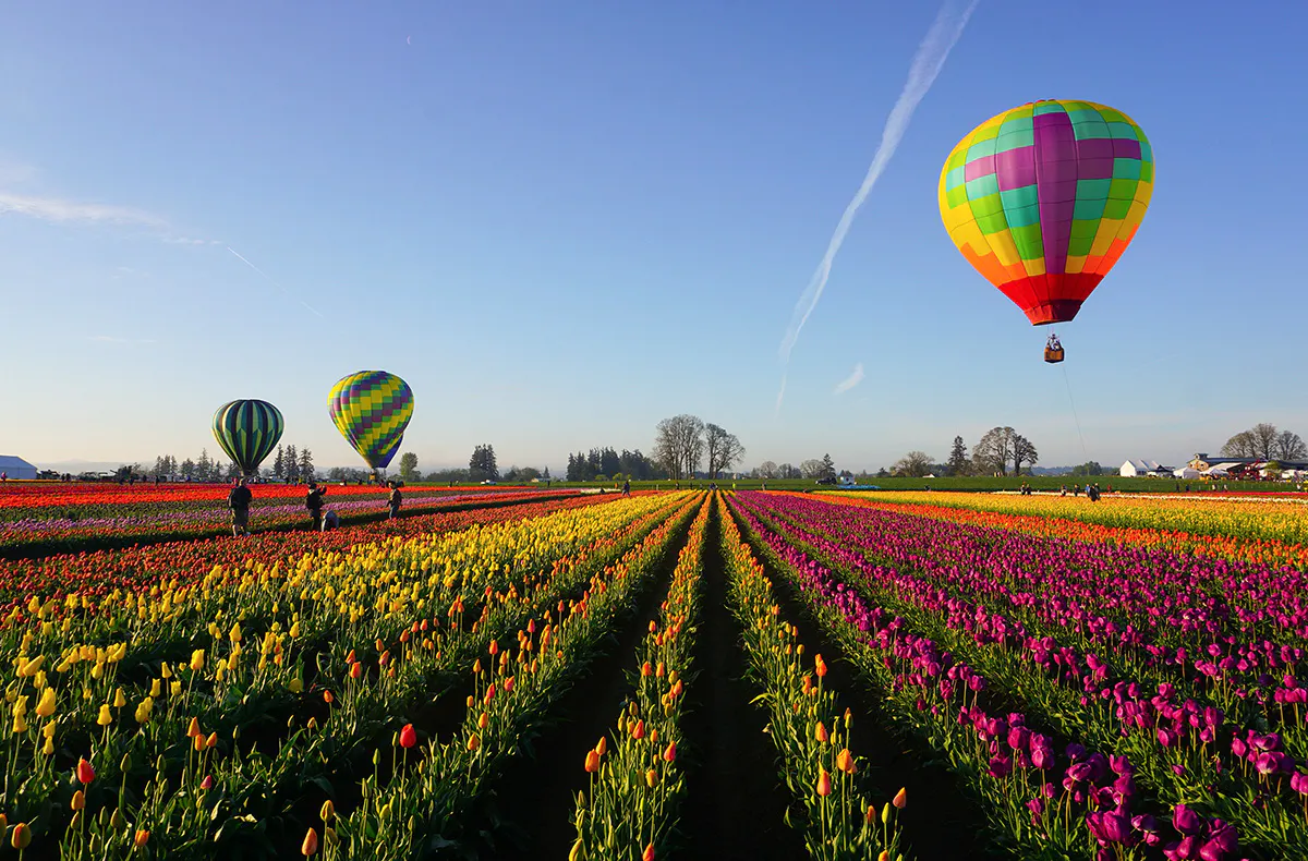 Ballonfahren Norddeutschland - 5