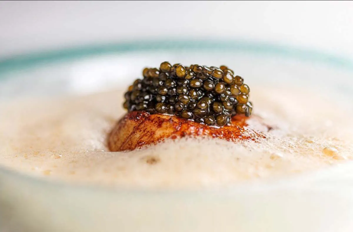 7-Gänge-Menü im Sterne-Restaurant Hamburg - 5