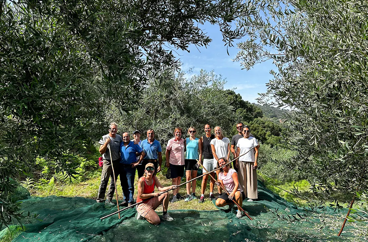 Olivenernte in Sizilien für 2 (3 Nächte) - 5