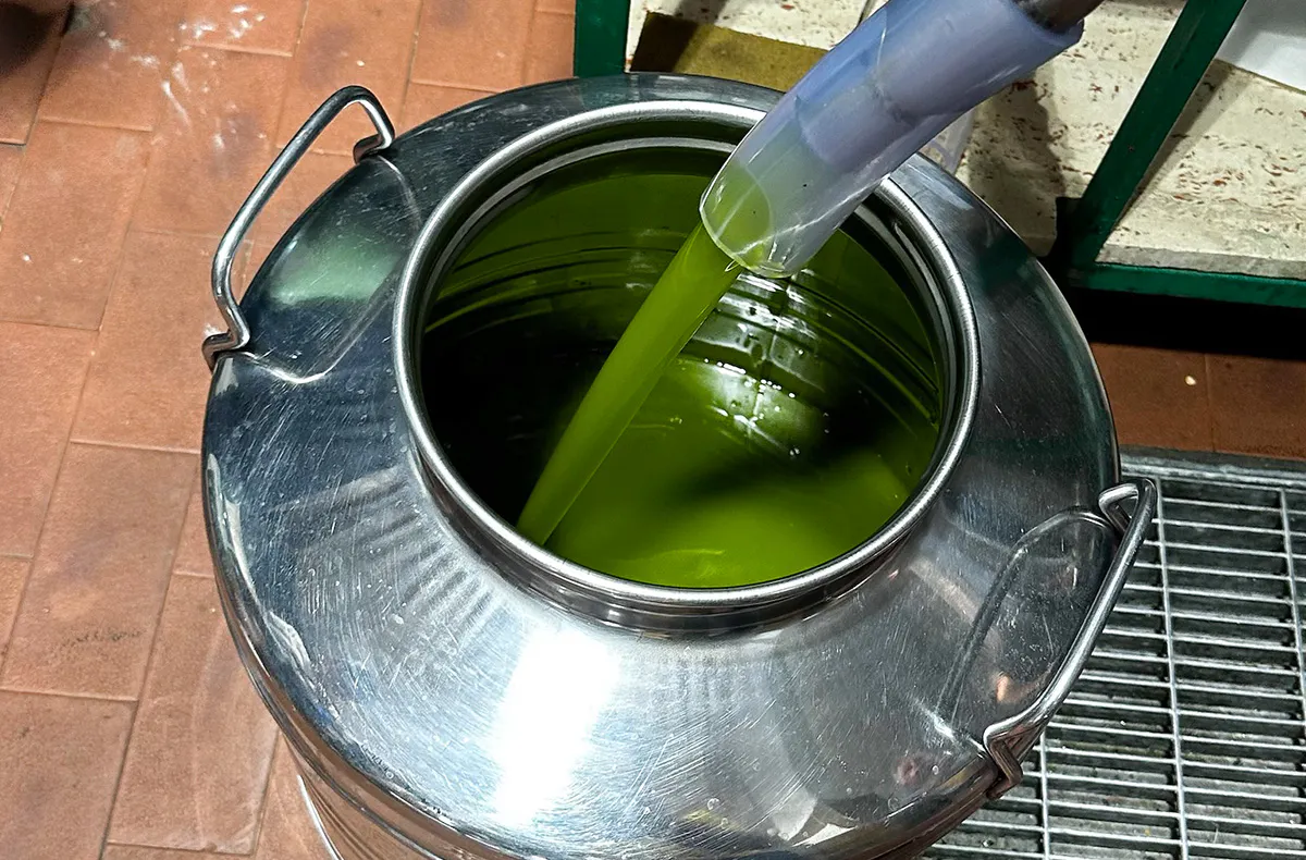 Olivenernte in Sizilien für 2 (3 Nächte) - 6