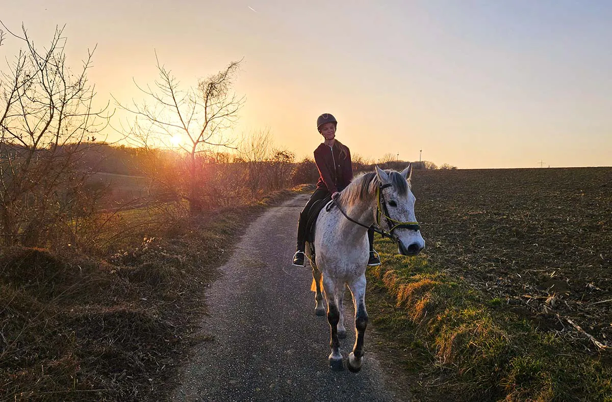 Wanderreiten Kapelln - 5