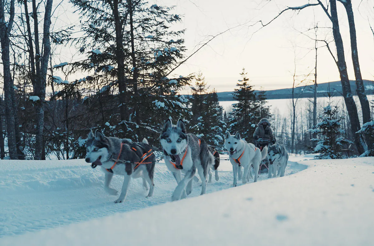 Abenteuerwoche Lappland mit Hundeschlitten für 2 (7 Nächte) - 6