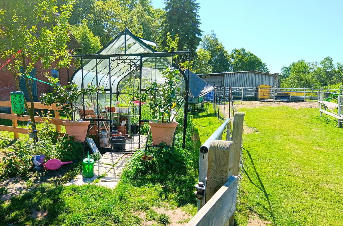 Alpaka Erlebnis Lasbek für 2 (2 Nächte) - 7