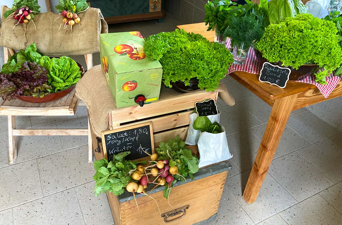 Alpaka-Hofführung Furth im Wald - 5