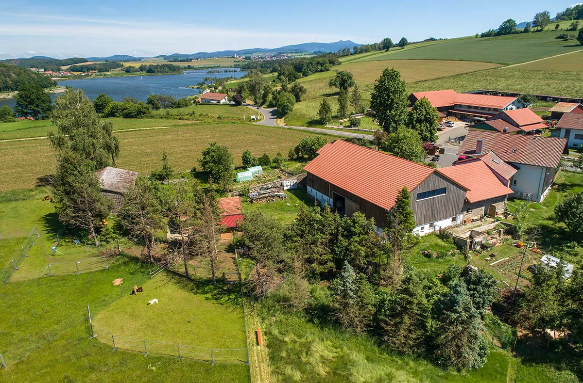Alpaka-Hofführung Furth im Wald - 6