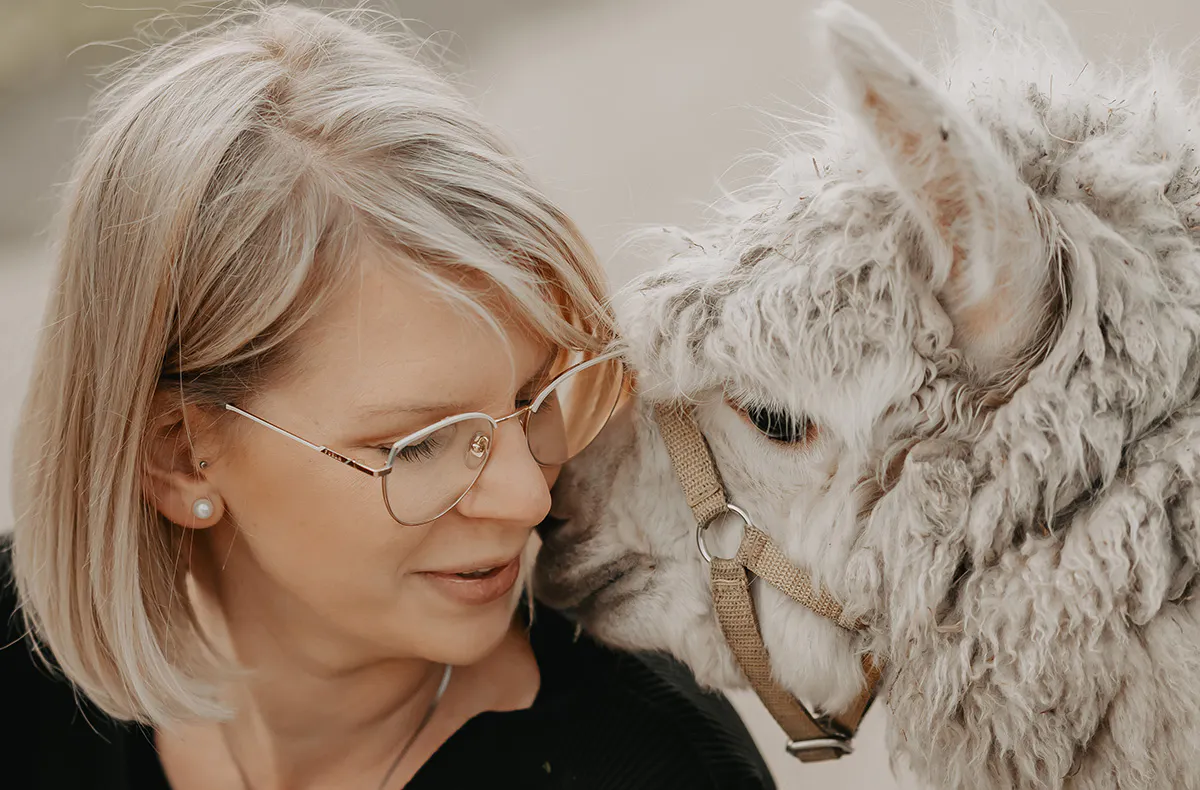 Alpaka Wanderung in der Eifel - 5