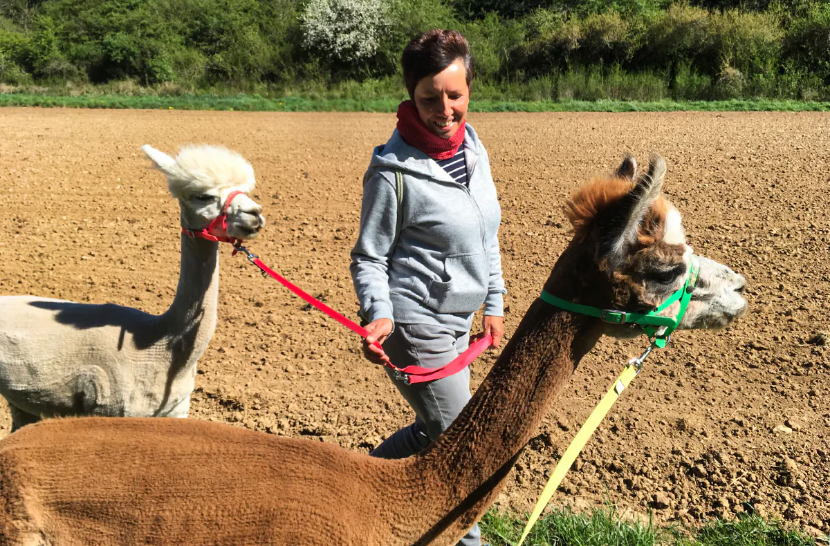 Alpaka Wanderung Arnstein - 5