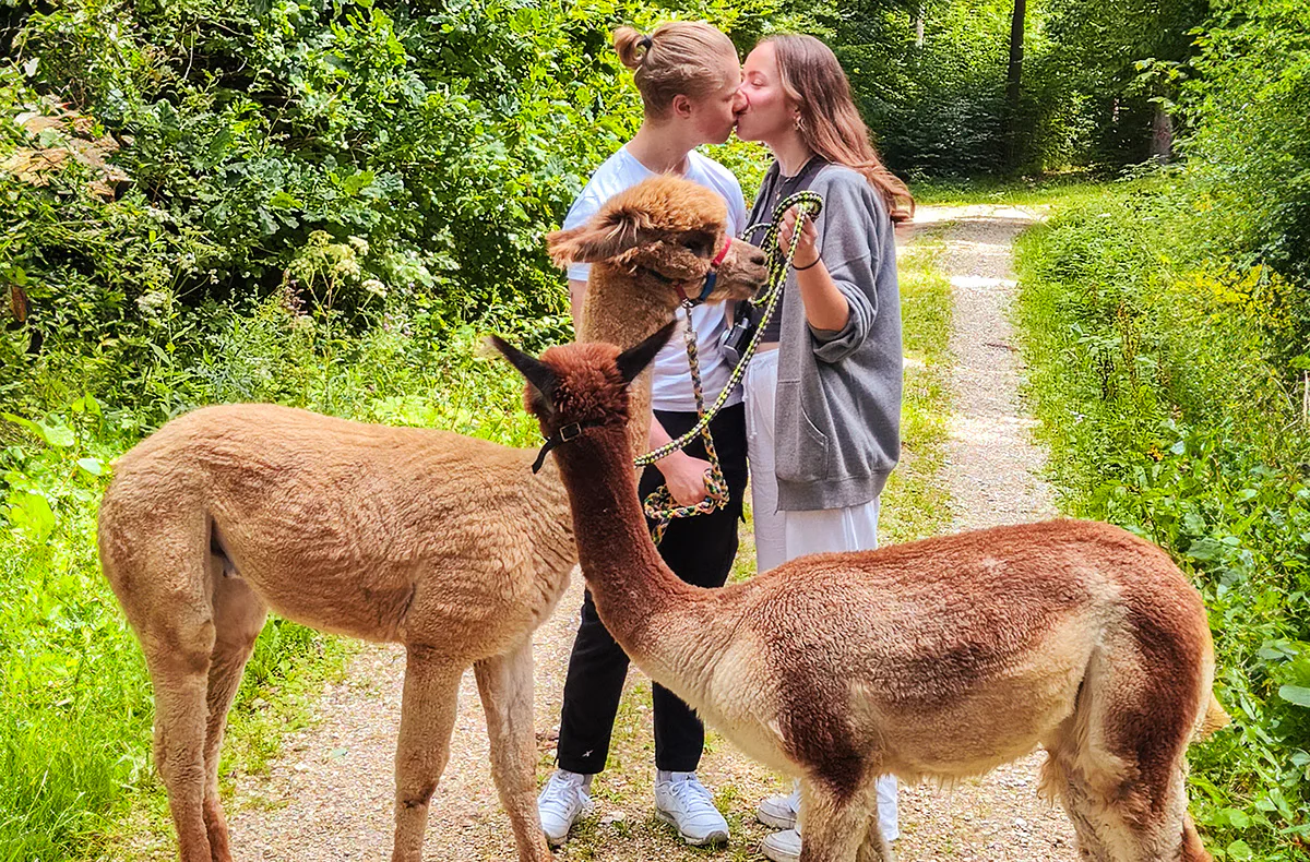 Alpaka Wanderung für 2 Jettingen-Scheppach - 1