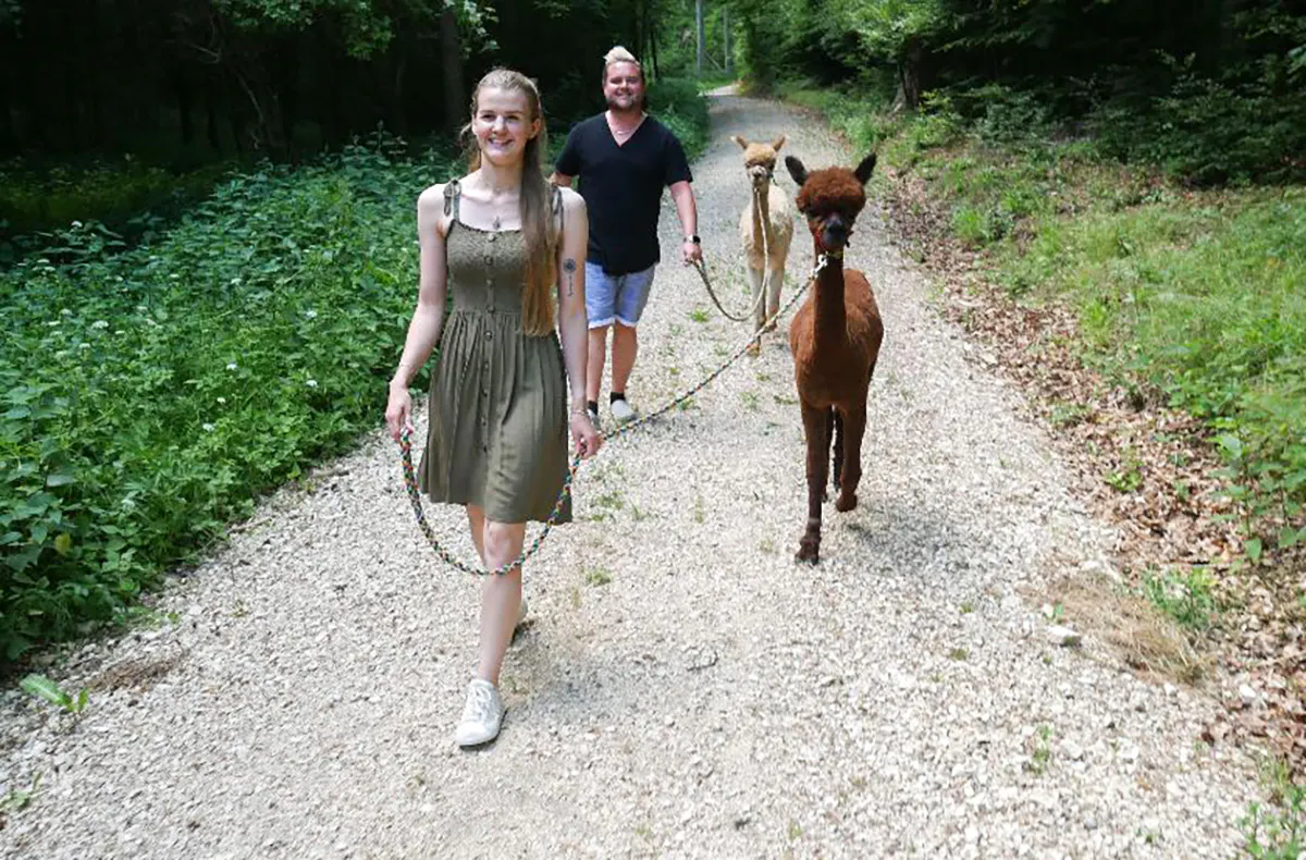 Alpaka Wanderung für 2 Jettingen-Scheppach - 5
