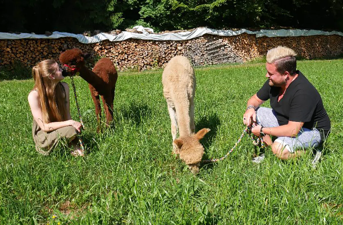 Alpaka Wanderung für 2 Jettingen-Scheppach - 6