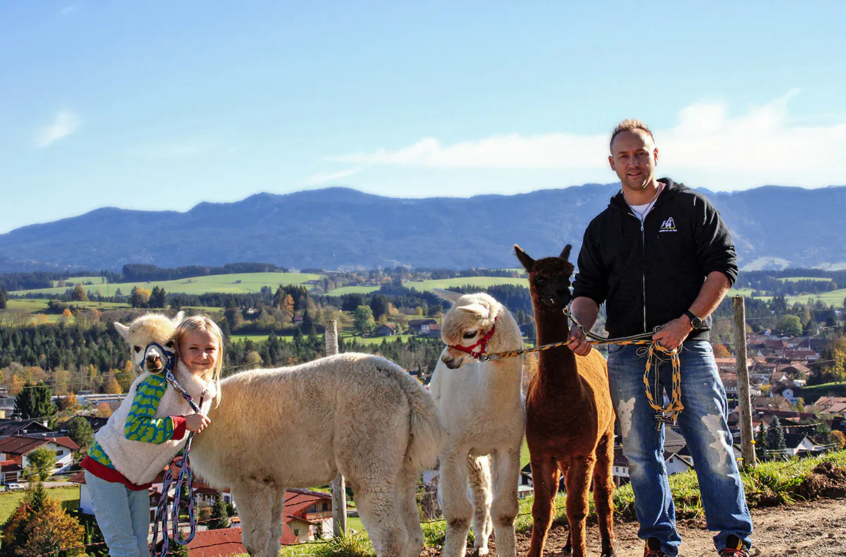 Alpaka Wanderung Lechbruck - 7