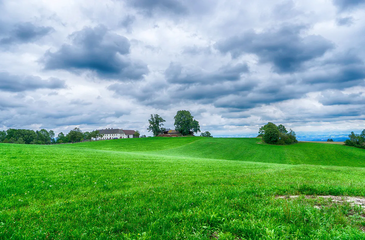 Alpaka Wanderung St.Thomas am Blasenstein - 5