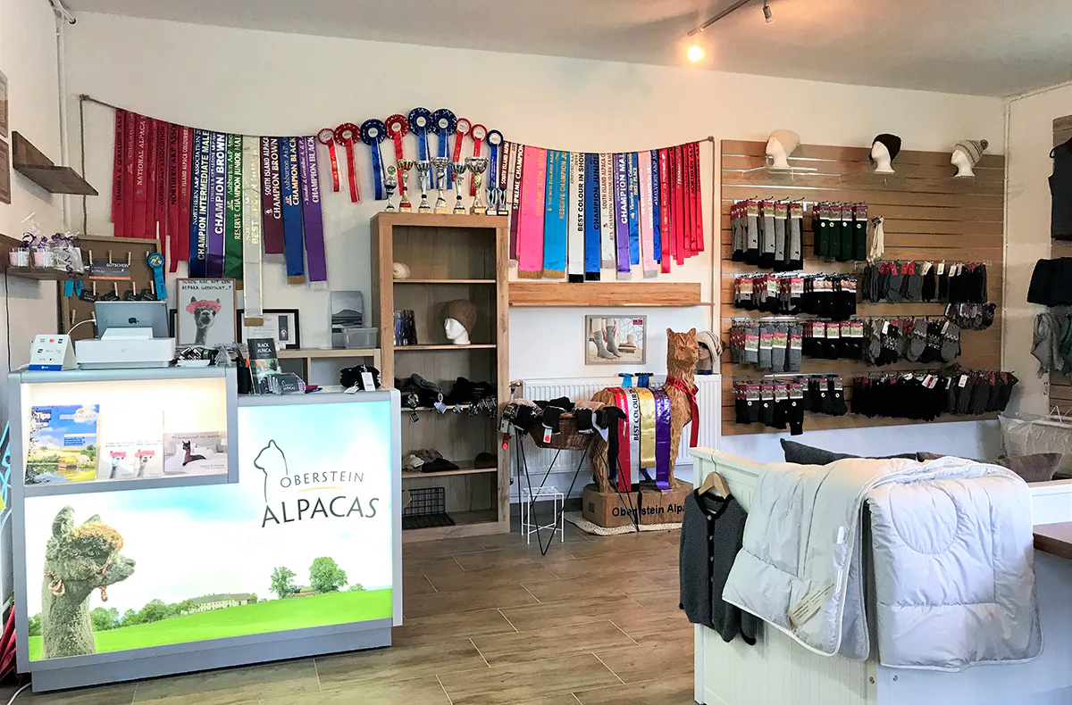 Alpaka Wanderung St.Thomas am Blasenstein - 6