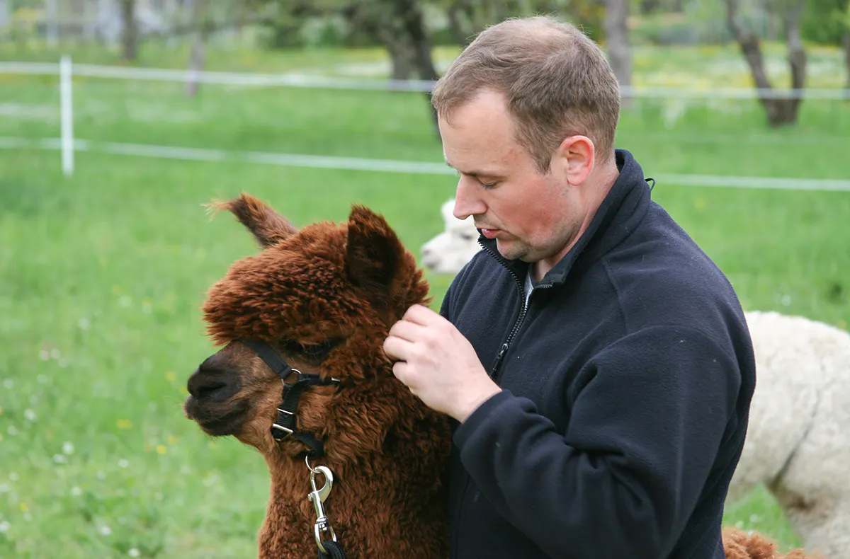 Alpaka Wanderung Vaihingen an der Enz - 5