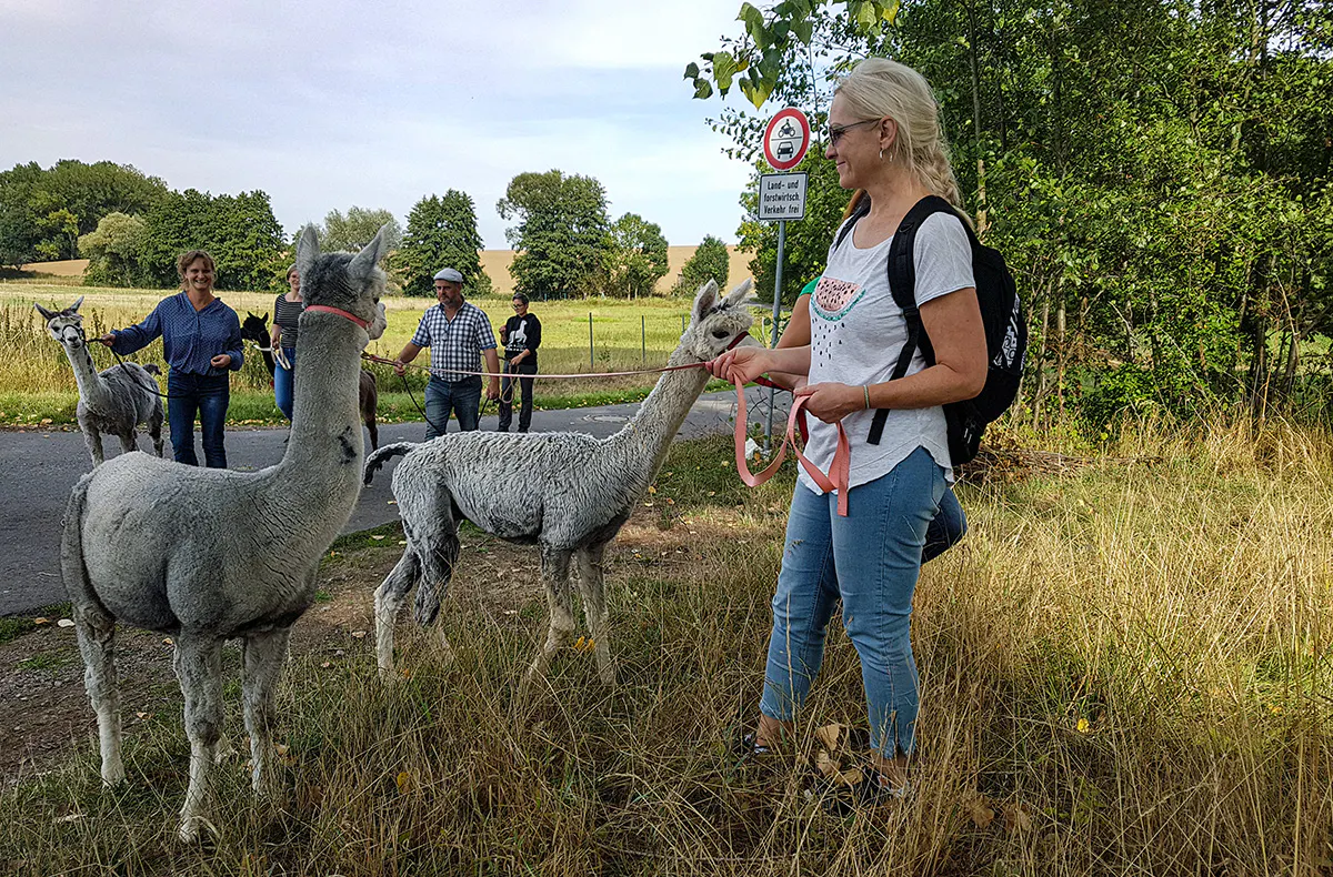 Alpaka Wanderung Wermsdorf - 5