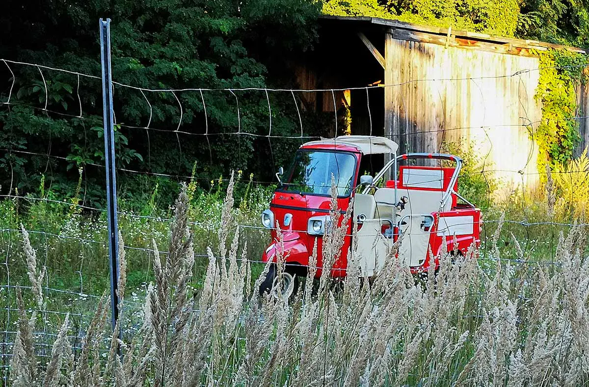 Ape Tour bei Vollmond Oberwart (4 Std.) - 5