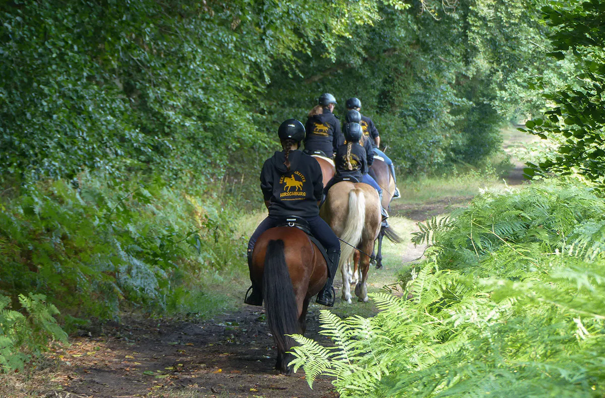 Ausritt für Anfänger Bad-Doberan - 5