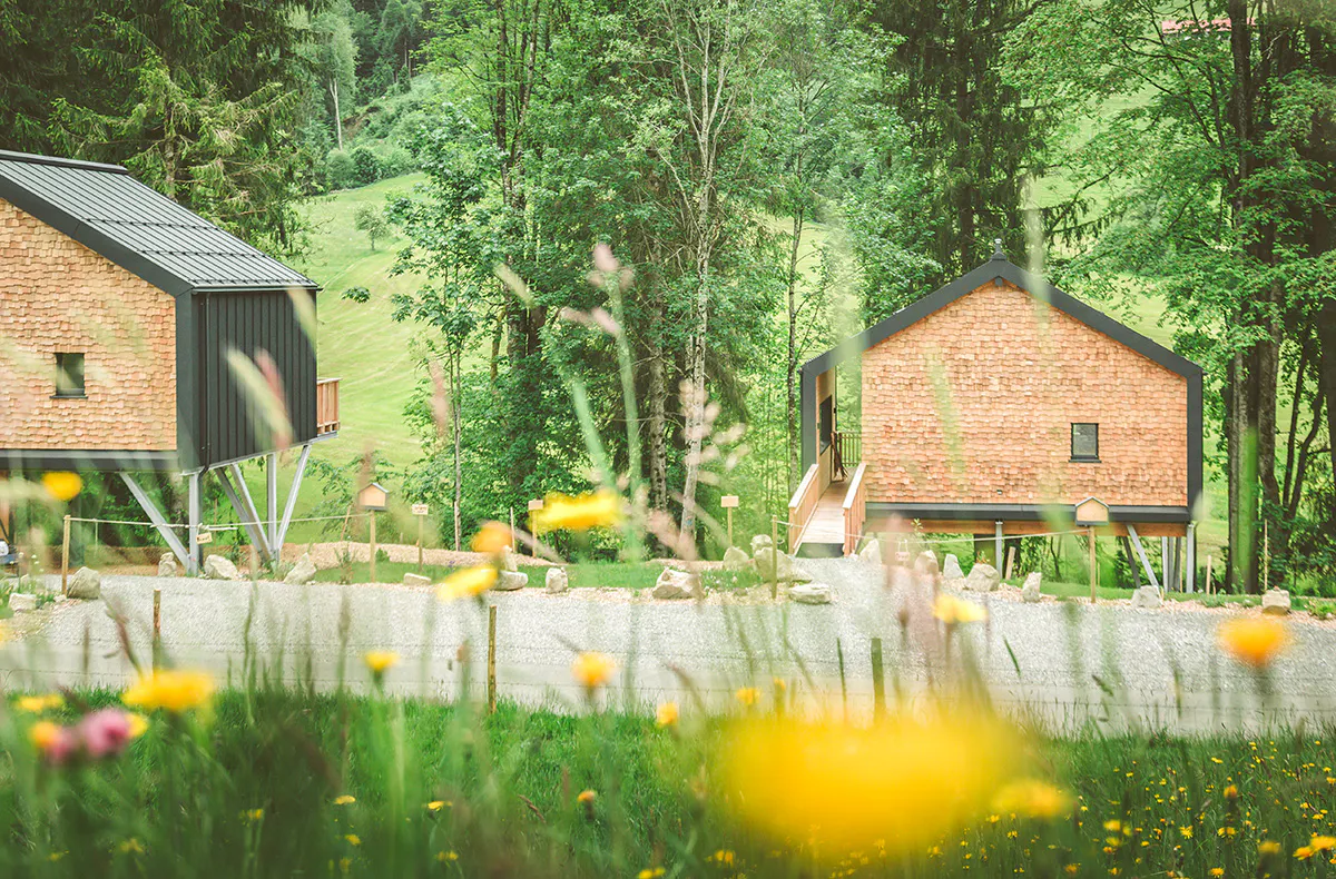 Außergewöhnlich Übernachten im Baumchalet für 2 (2 Nächte) - 9