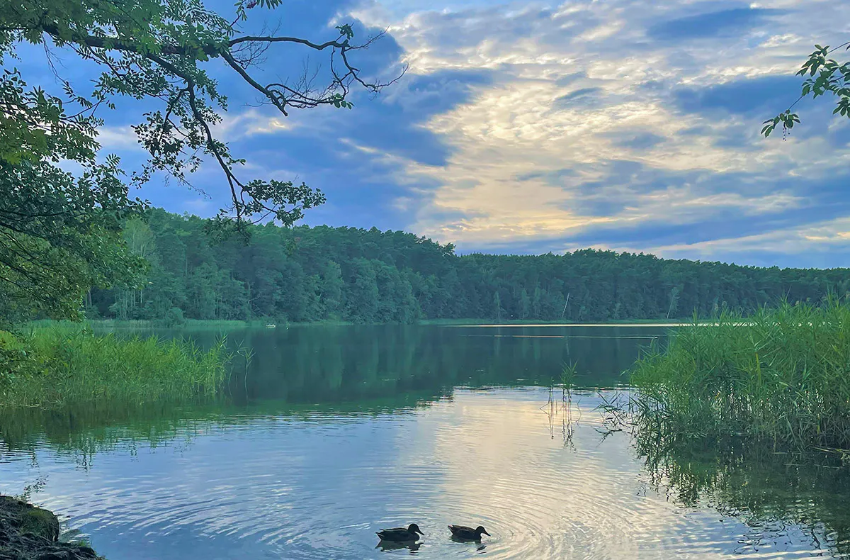 Außergewöhnlich Übernachten Storkow (1 Nacht) - 5