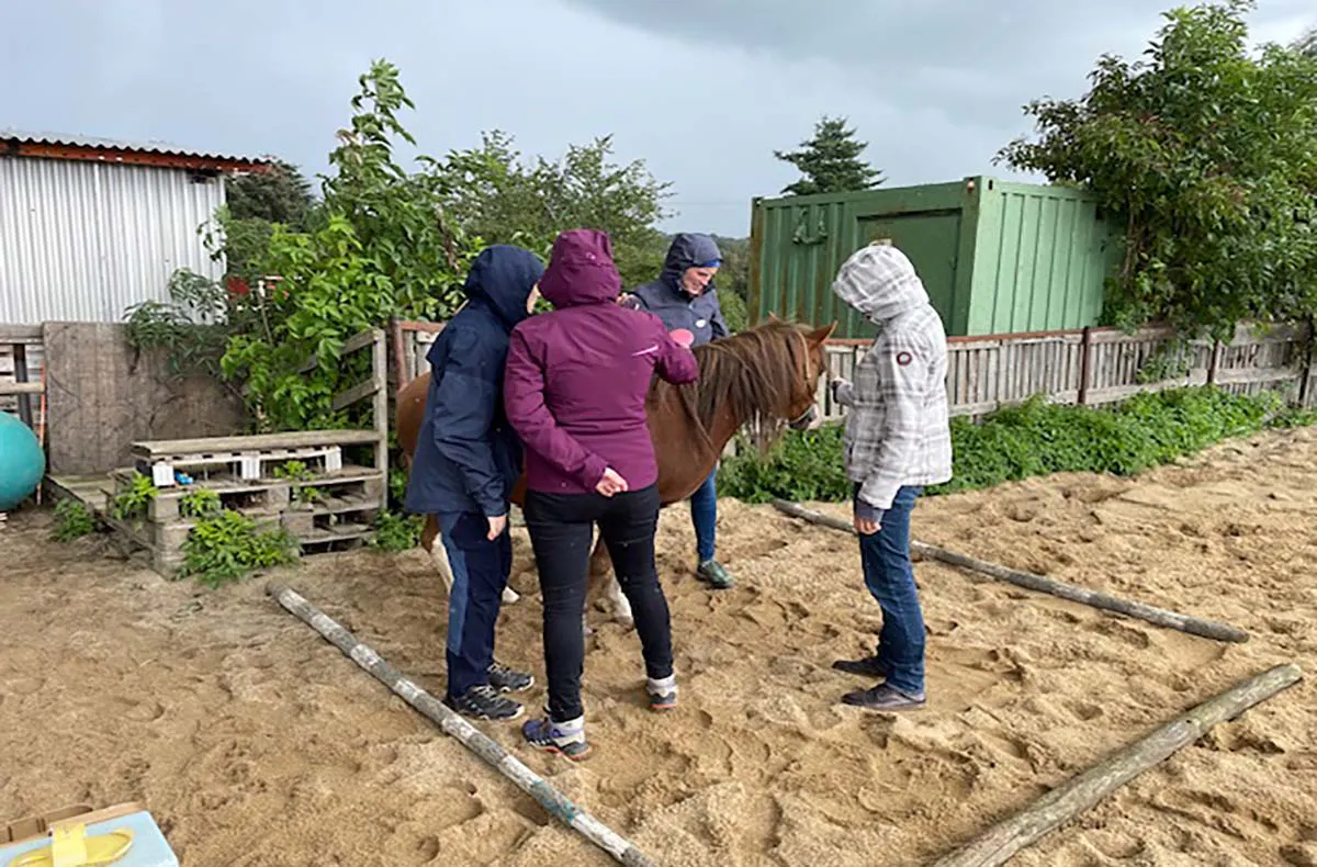 Auszeit mit Pferden Grumbach - 5