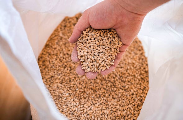 Bierbraukurs Schongau