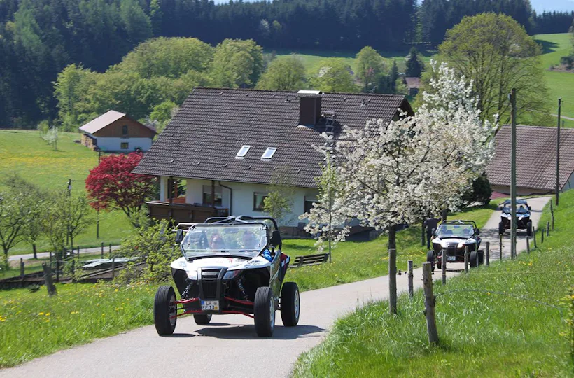 Side by Side Buggy Schwarzwald-Tour Meißenheim (5 Std.)