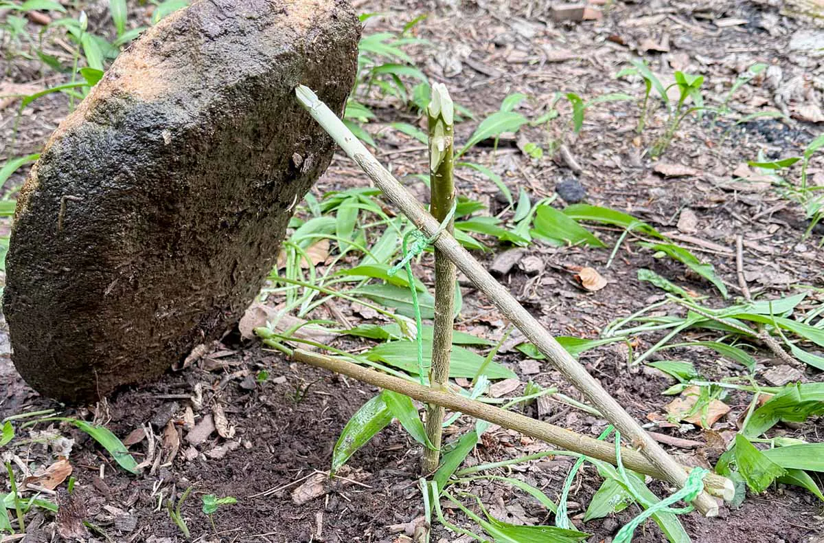 Bushcraft Kurs Raum Stuttgart - 6