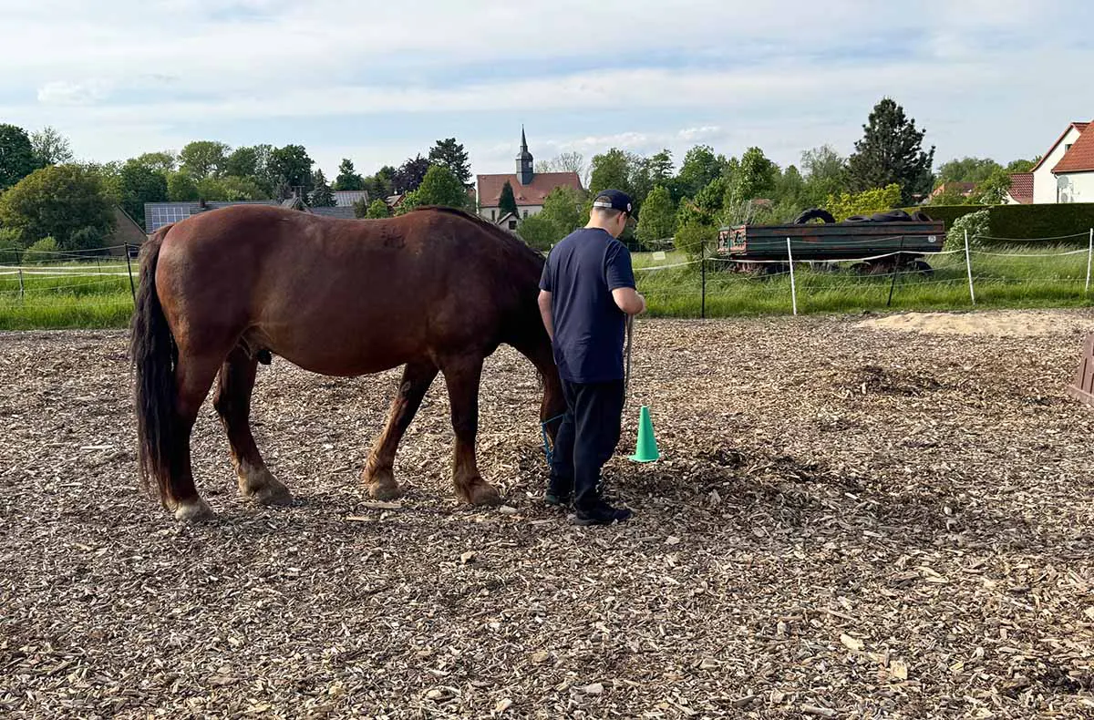 Coaching mit Pferden Grumbach - 5