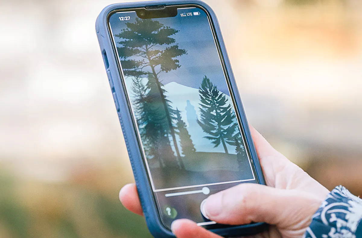 Digitale Schnitzeljagd (Der Wunderwald) - 6