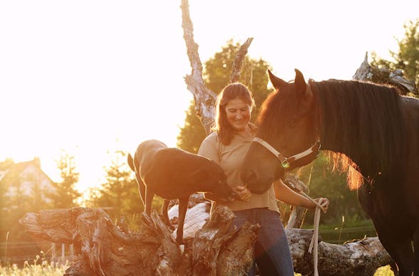 Eins sein mit der Pferdeherde Emmingen-Liptingen