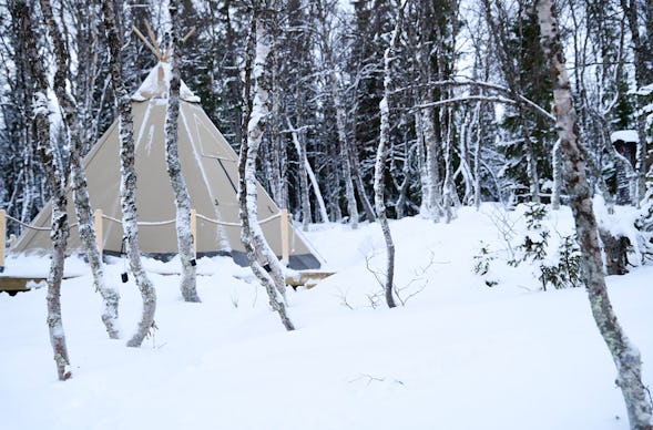 Erlebnisreise Lappland für 4 (2 Nächte)