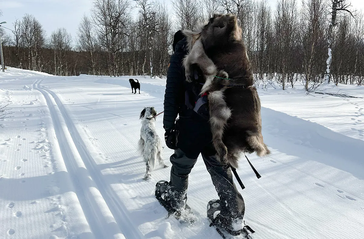 Erlebnisreise Lappland für 4 (2 Nächte) - 11